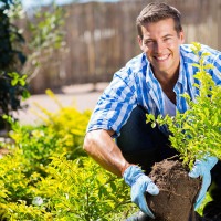 Tudo sobre a Manutenção de Jardins